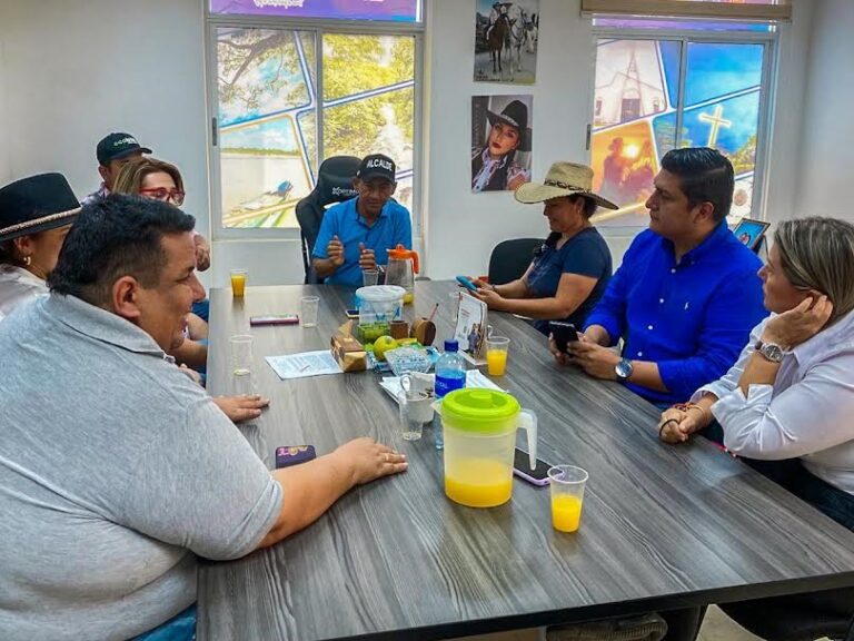 ALBORADA EXPANDIRÁ SUS SERVICIOS DE ALUMBRADO PÚBLICO AL MUNICIPIO DE EL CASTILLO