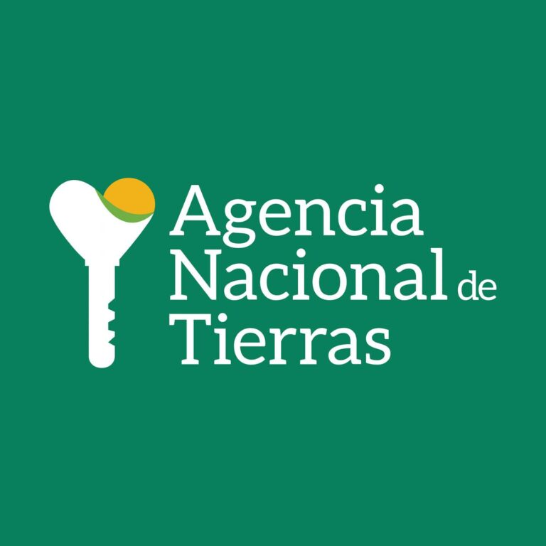 deSINFORMAN    responsabilizaNDO a Felipe Harman en la ocupación de un predio