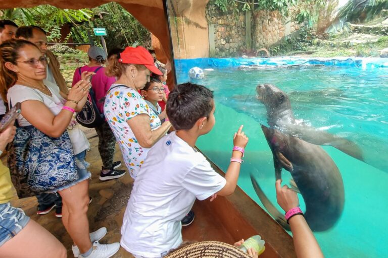Bioparque Los Ocarros abre todos los días en Semana Santa, incluidos los festivos
