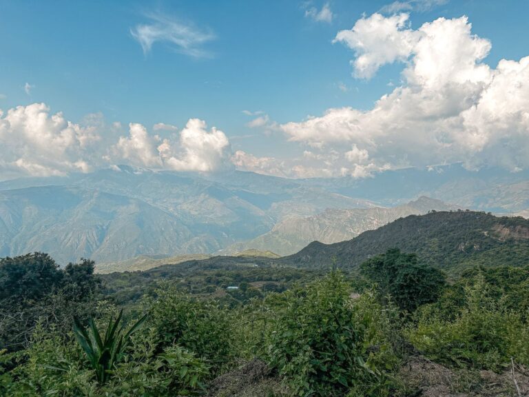 En seis departamentos, firmantes de paz serán adjudicatarios de más de 3.500 hectáreas