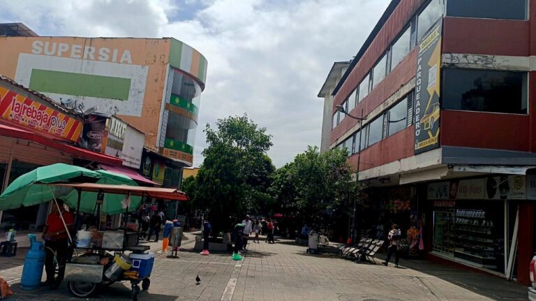 EL COMERCIO EN LA CALLE DE LAS PALMADITAS SE DINAMIZA HOY CON UNA GRAN FERIA