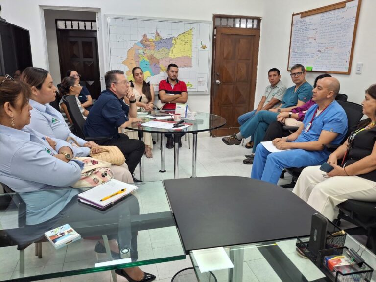 (IPS) que ofrecen atención domiciliaria ayudarían a aliviar sobreocupación hospitalaria en Villavicencio