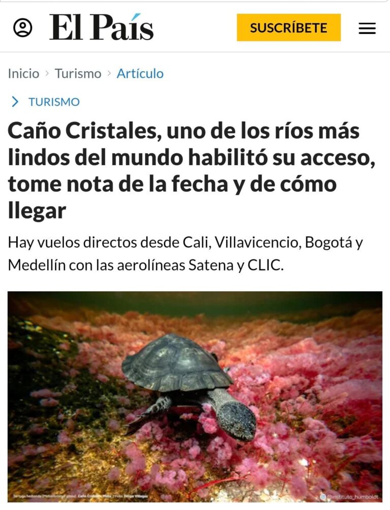 Caño Cristales, orgullo del Meta, conquista los titulares nacionales