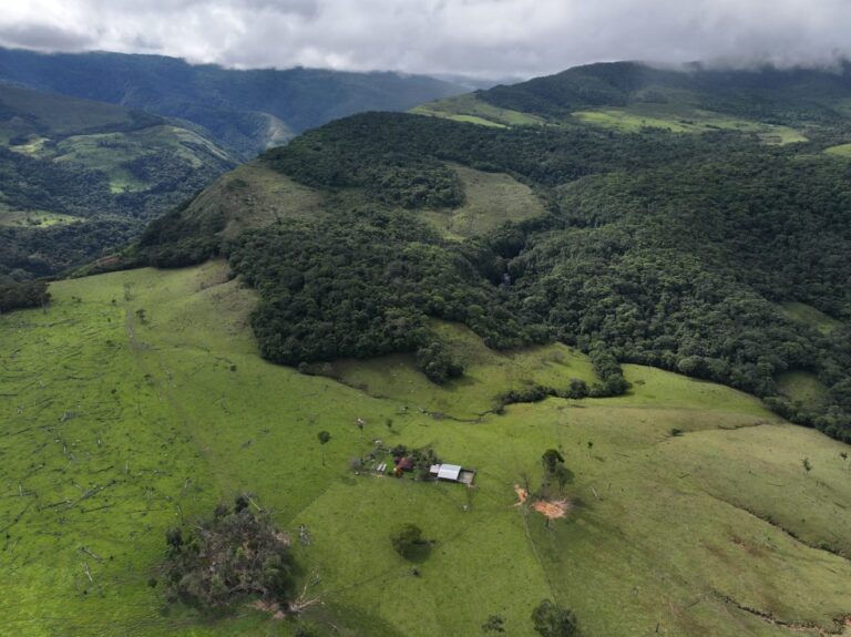 Con resultados, la Agencia Nacional de Tierras organiza el campo en el Meta