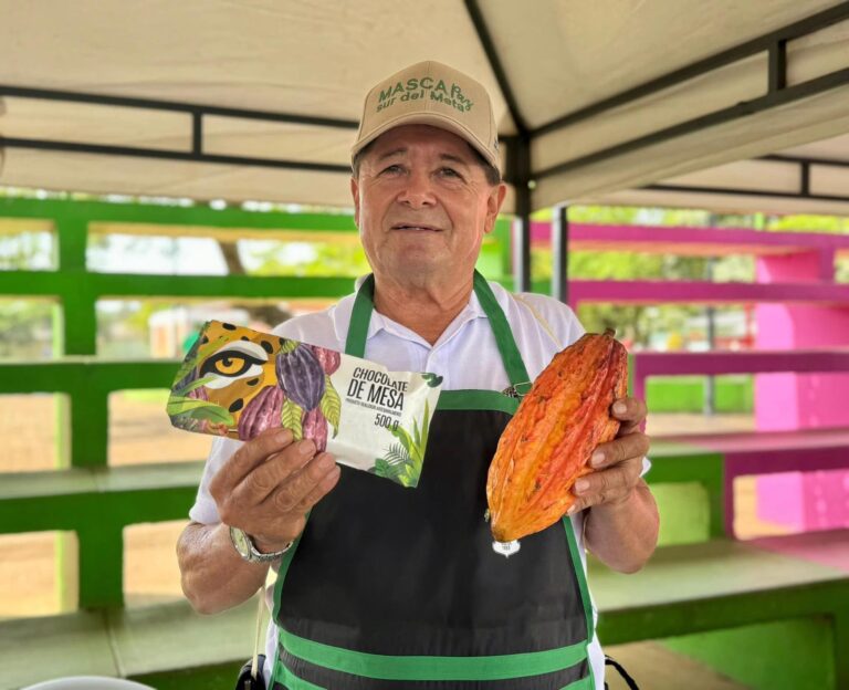 Día Mundial del Cacao: El Meta es referente en la producción nacional