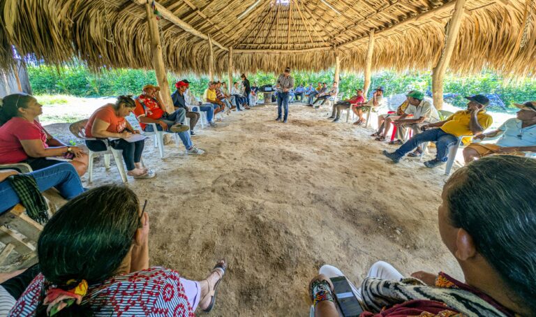 Con monto cercano a los 1.500 millones, ANT activa proyectos productivos de Sembrando Vida en Sucre