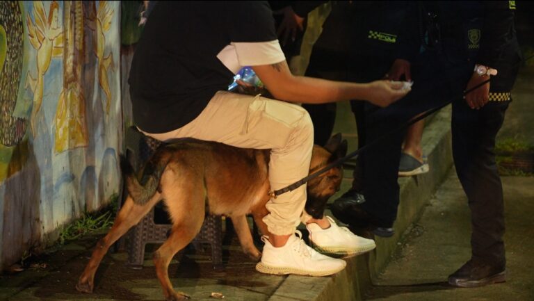 OPERATIVOS CON CANINA ANTINARCÓTICOS REFUERZAN EL PLAN FASTIDIO EN VILLAVICENCIO