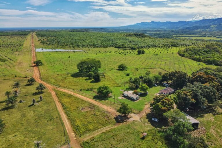 La Agencia Nacional de Tierras entregó 300 hectáreas de tierras a excombatientes y sus familias en el municipio Barranca de Upía, Meta, para dar cumplimiento al punto uno del Acuerdo de Paz de 2016.