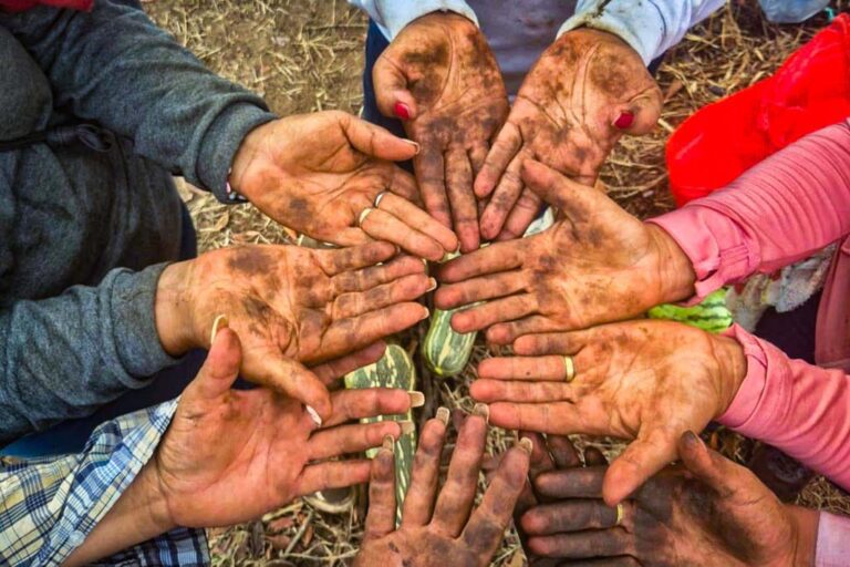 De Puerto Gaitán a San Martín de los Llanos, la Reforma Agraria fortalece la productividad campesina
